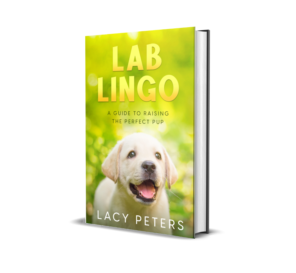 Lab Lingo: A Guide to Raising the Perfect Pup