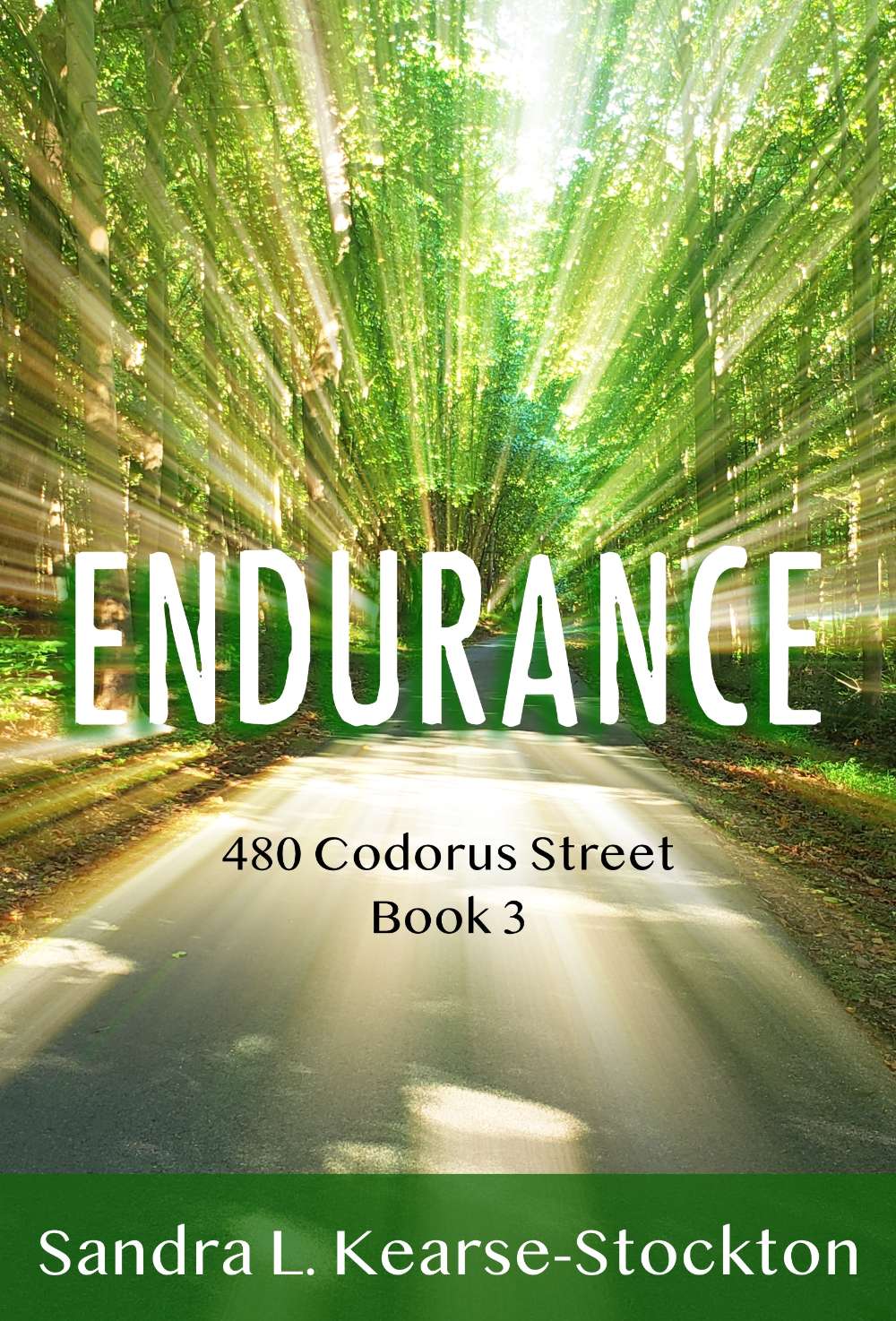 Endurance: 480 Codorus Street Book 3