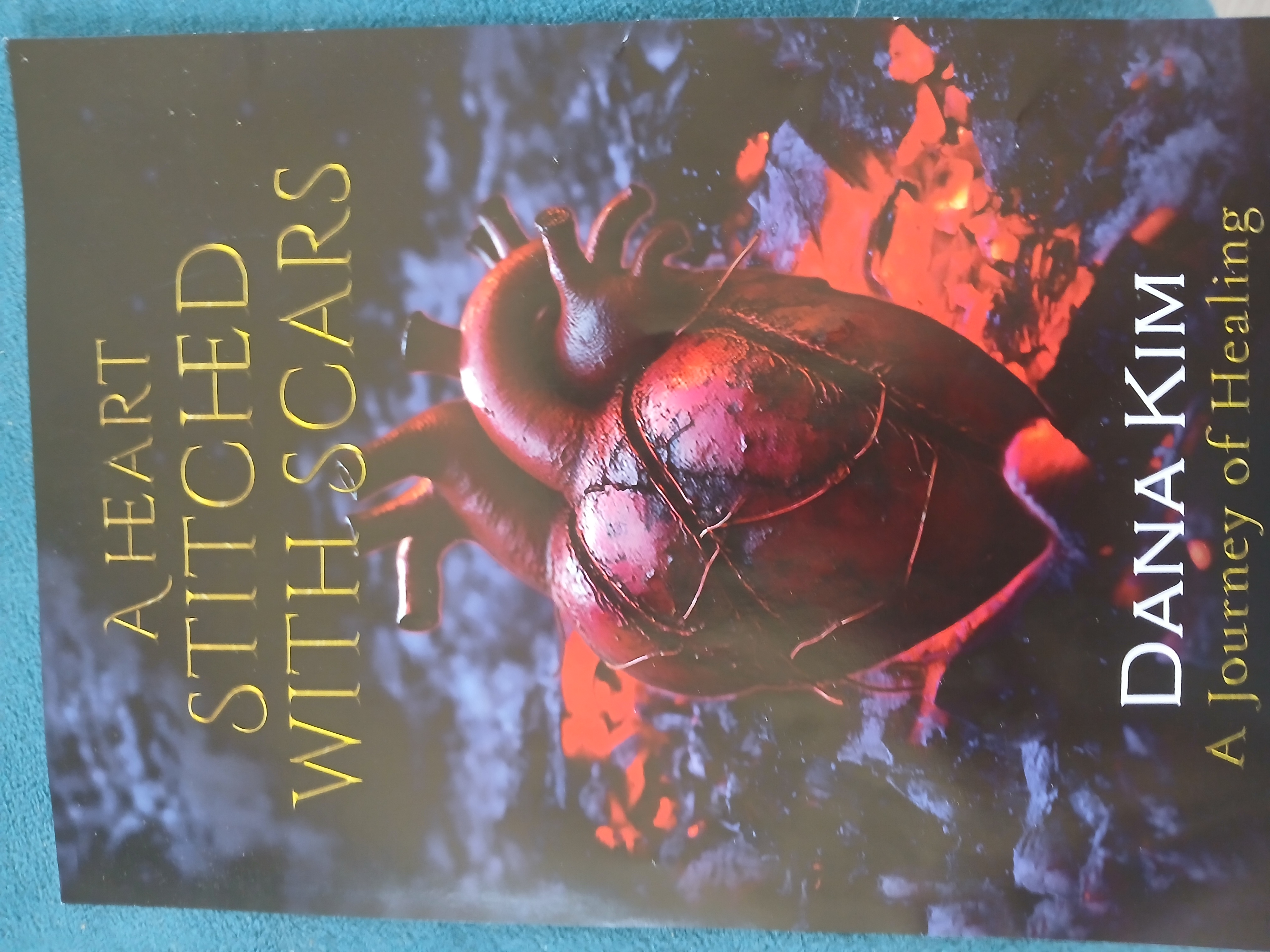 A heart stitched with scars book cover